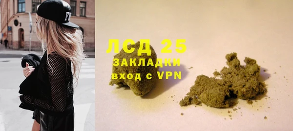 PSILOCYBIN Балабаново
