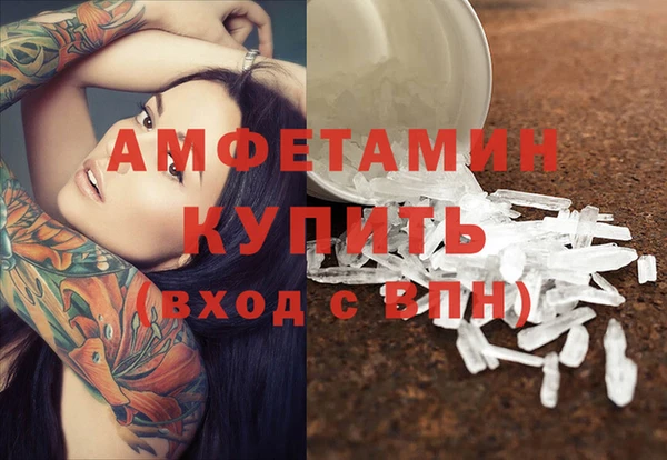 трава Белокуриха