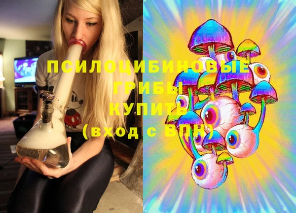 PSILOCYBIN Балабаново