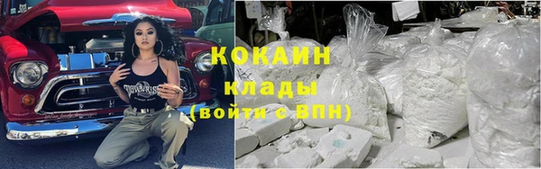 трава Белокуриха