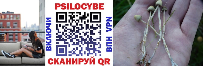 Галлюциногенные грибы GOLDEN TEACHER  где можно купить   OMG ссылка  Кубинка 